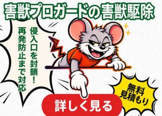 害獣プロガードの害獣駆除は侵入口の封鎖・再発防止まで対応。無料見積もりを詳しく見る