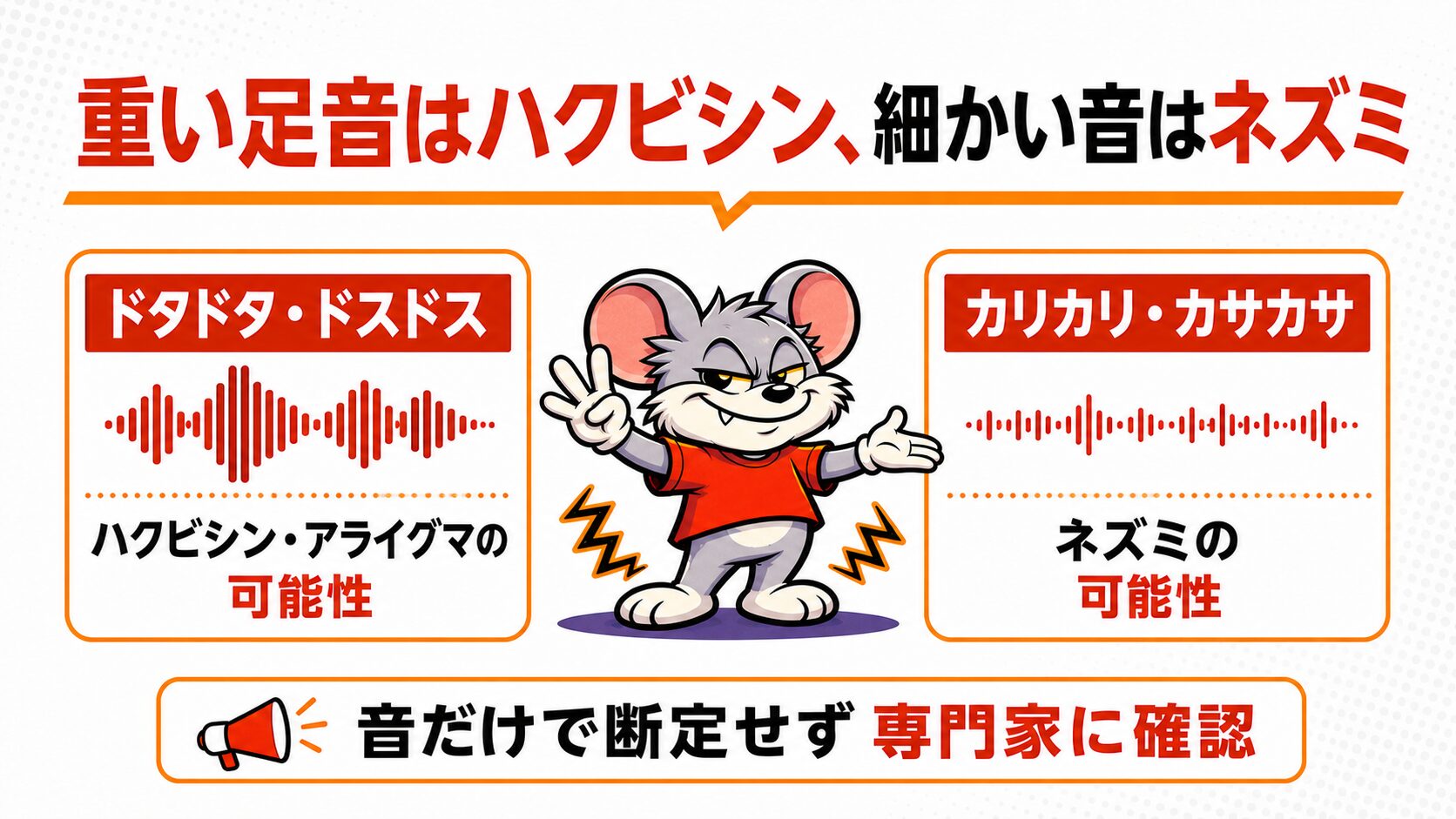 重い足音はハクビシン、細かい音はネズミという判別方法を解説したスライド