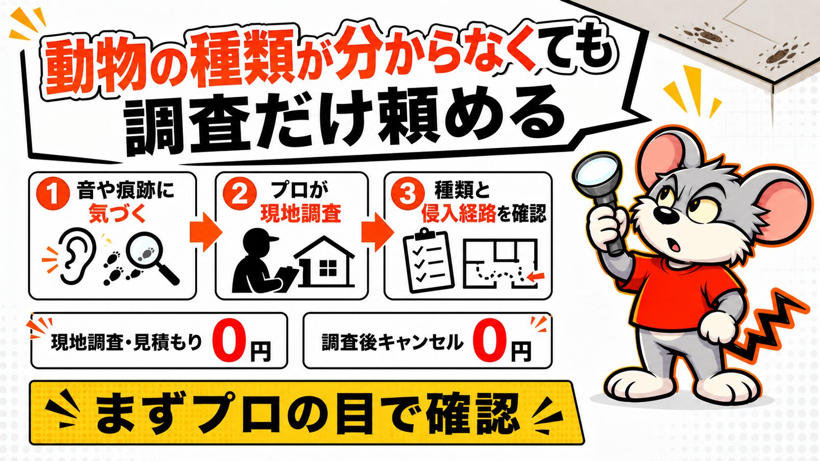 動物の種類が分からなくても調査だけ頼める