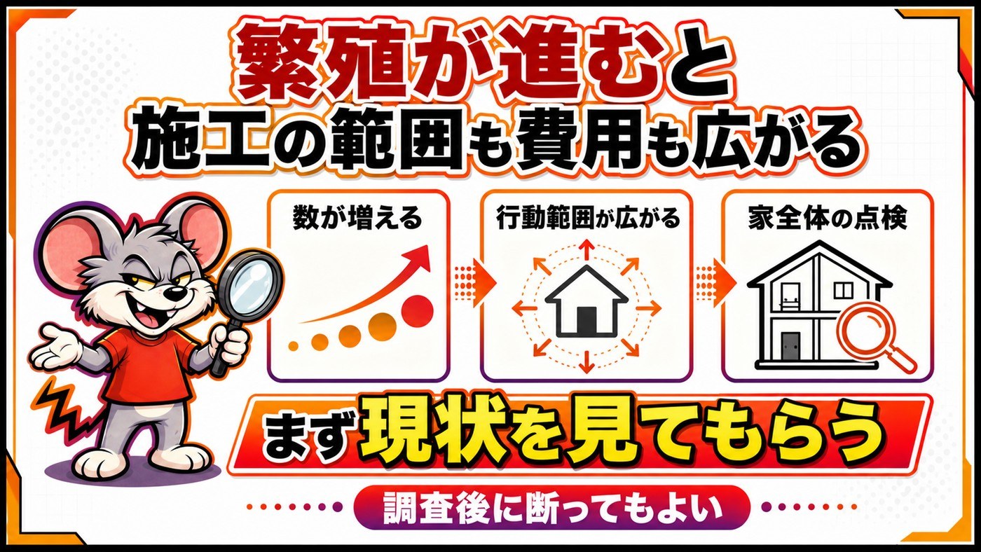 繁殖が進むと施工の範囲も費用も広がることを示す図。数が増える、行動範囲が広がる、家全体の点検の3段階。まず現状を見てもらい調査後に断ってもよい