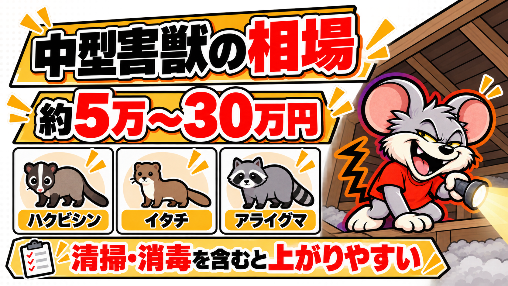 ハクビシン・イタチ・アライグマは約5万〜30万円